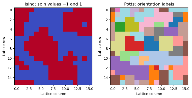 Computed result from the Ising and Potts: reproduce the lattice calculations notebook