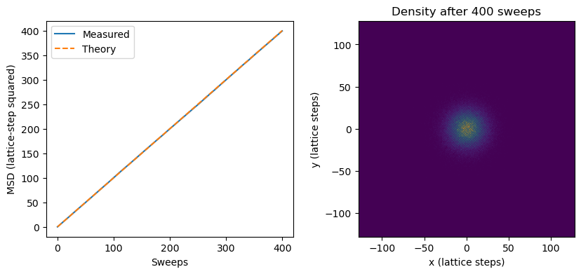 Computed result from the Random walks: from molecular steps to diffusion notebook