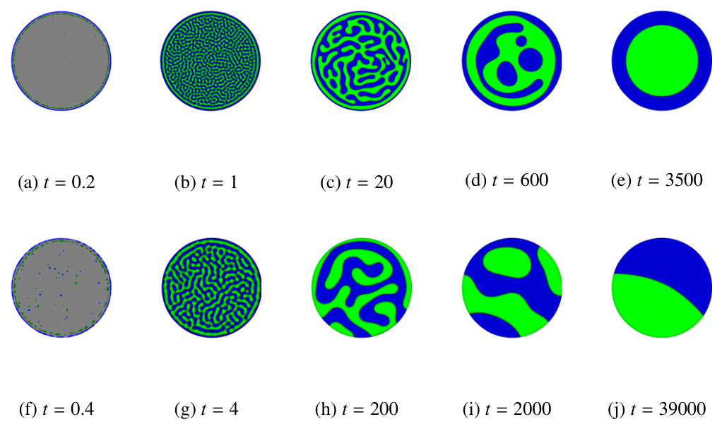 Two sequences of composition patterns inside a circular particle: the top row forms a core-shell structure and the bottom row forms a Janus structure.