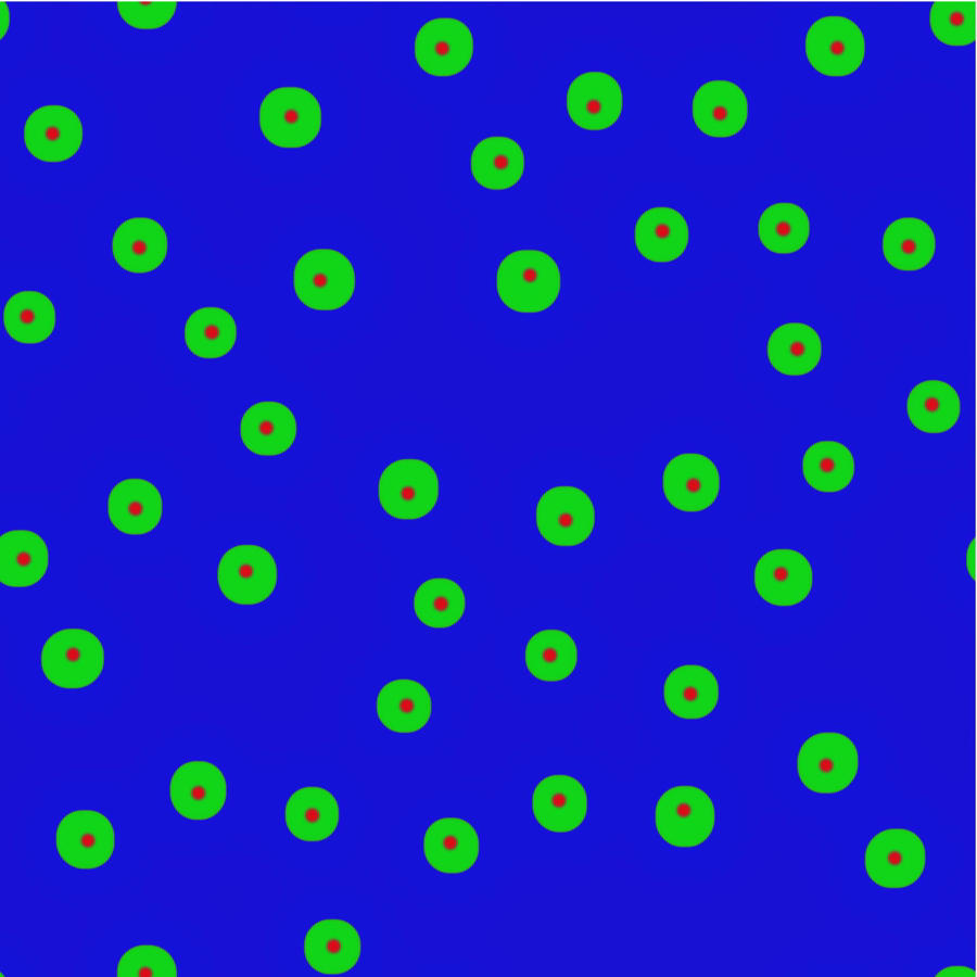 Final frame: Growth at higher matrix solute content