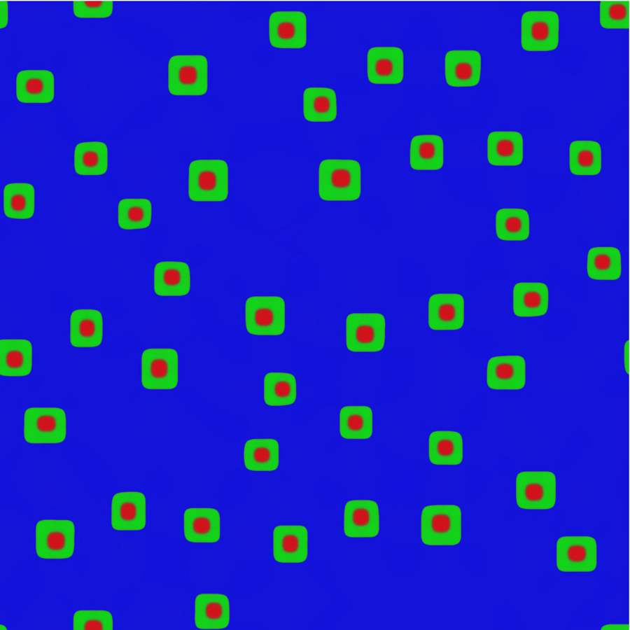 Final frame: Growth with anisotropic elasticity