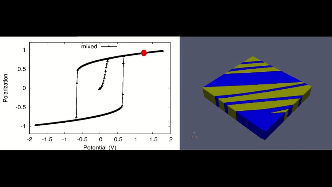 Last frame of Soumya BFO polarization switching and domain evolution